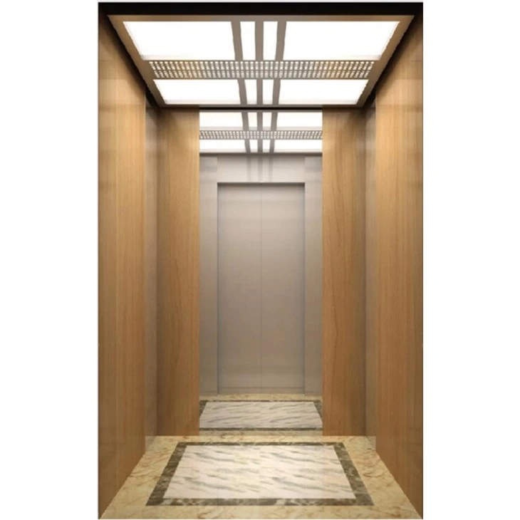Nyob sab hauv tsev of Elevators
